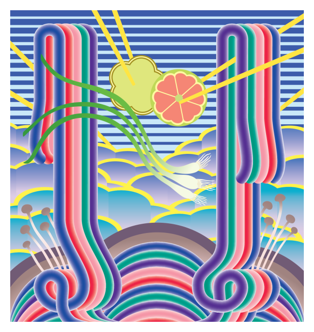 <p>Charlene Liu (b. 1975, Taiwan, lives and works in Eugene, OR). <em>Scallion</em>. 2025. Digital design for vinyl print. Courtesy of the artist.</p>
