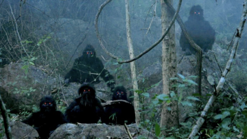 <p>Apichatpong Weerasethakul, <em>Uncle Boonmee Who Can Recall His Past Lives</em>, 2010.</p>
